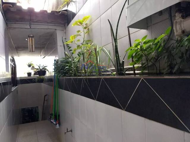 Casa para Locação em Guarulhos - 2